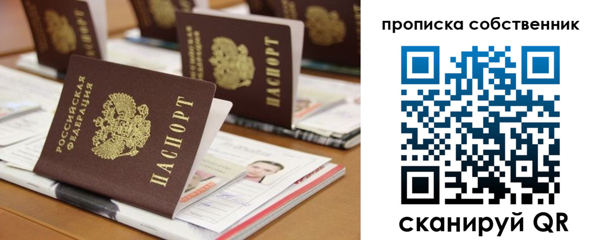временная регистрация для школы в Всеволожске