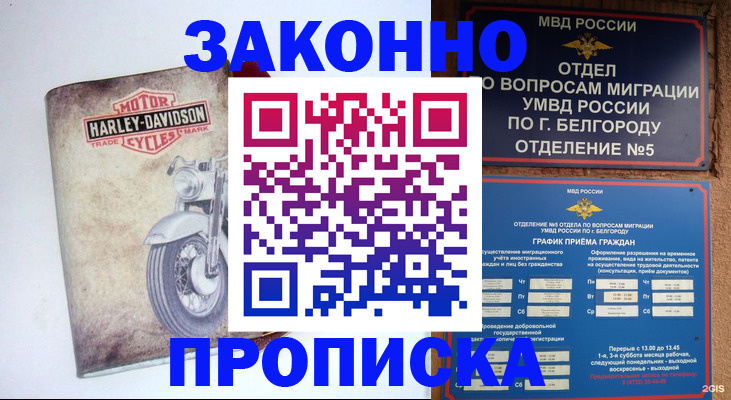 прописка для школы в Всеволожске